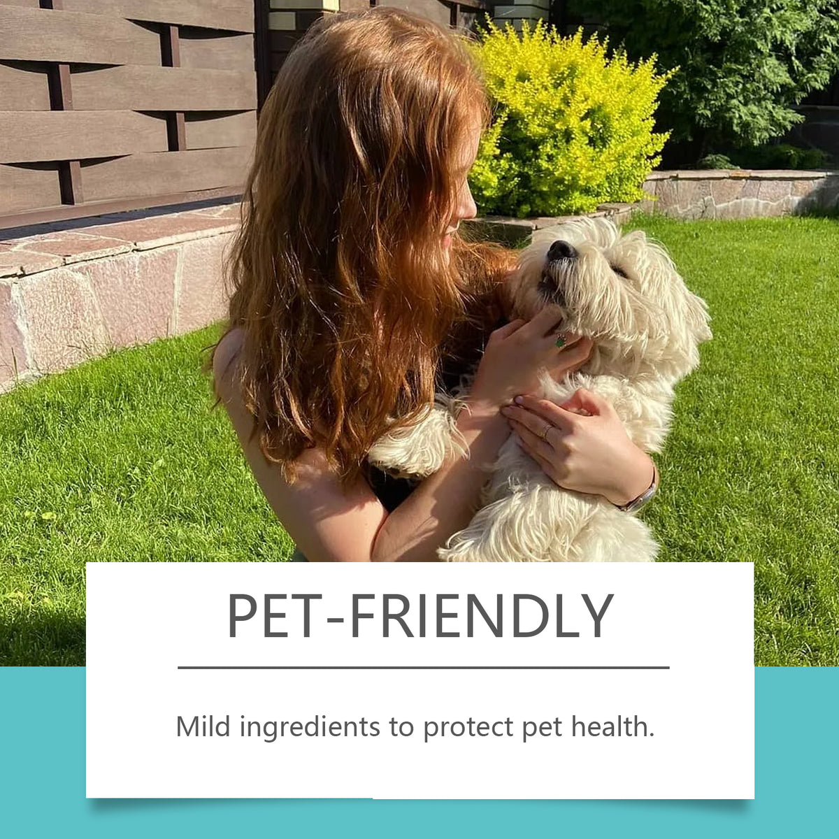 Pet Deodorant Spray – Long-Lasting Odor Control