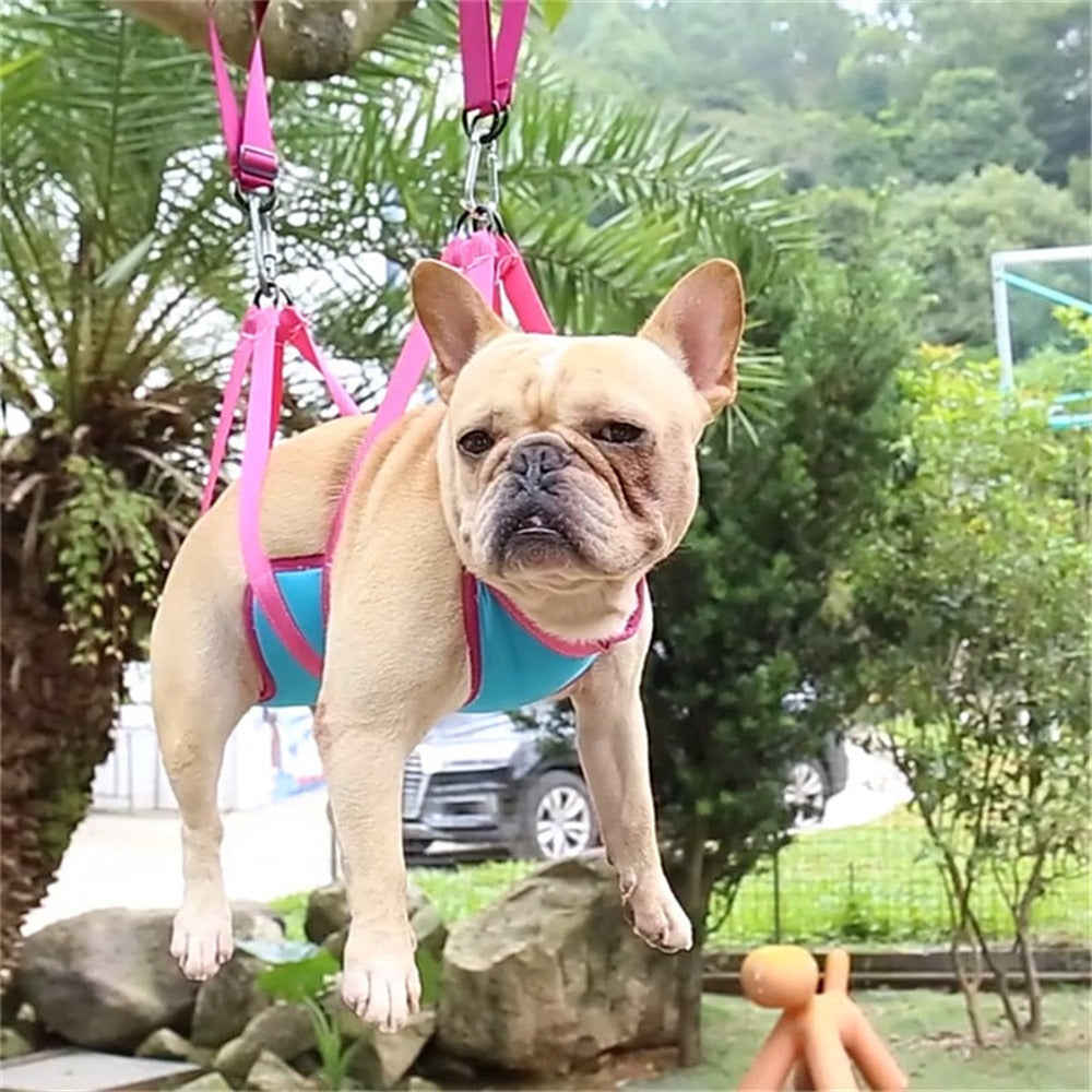 Pet Grooming Hammock for Cats and Small Dogs