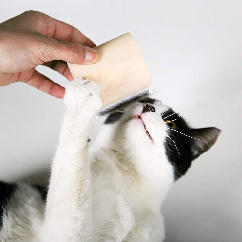 Wood Deshedding Groom Brush for Dogs, Small