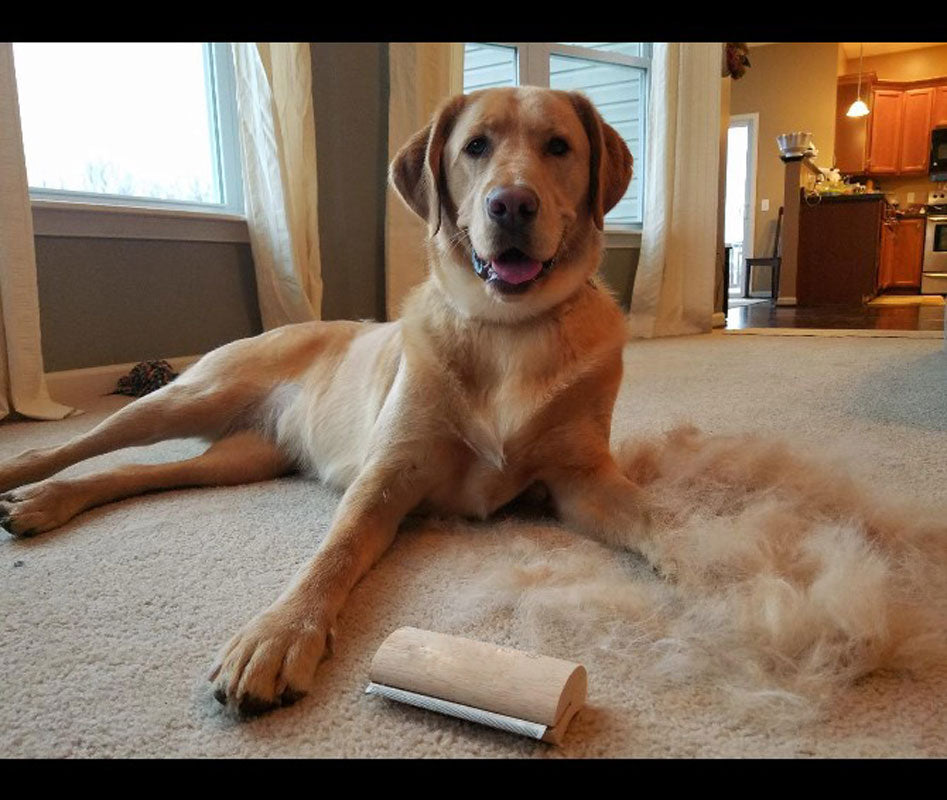 Wood Deshedding Groom Brush for Dogs, Small
