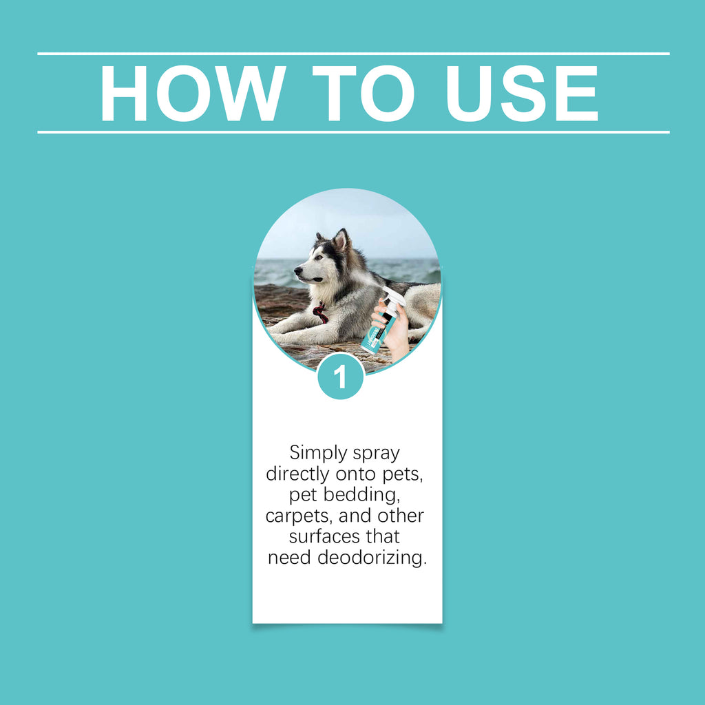Pet Deodorant Spray – Long-Lasting Odor Control