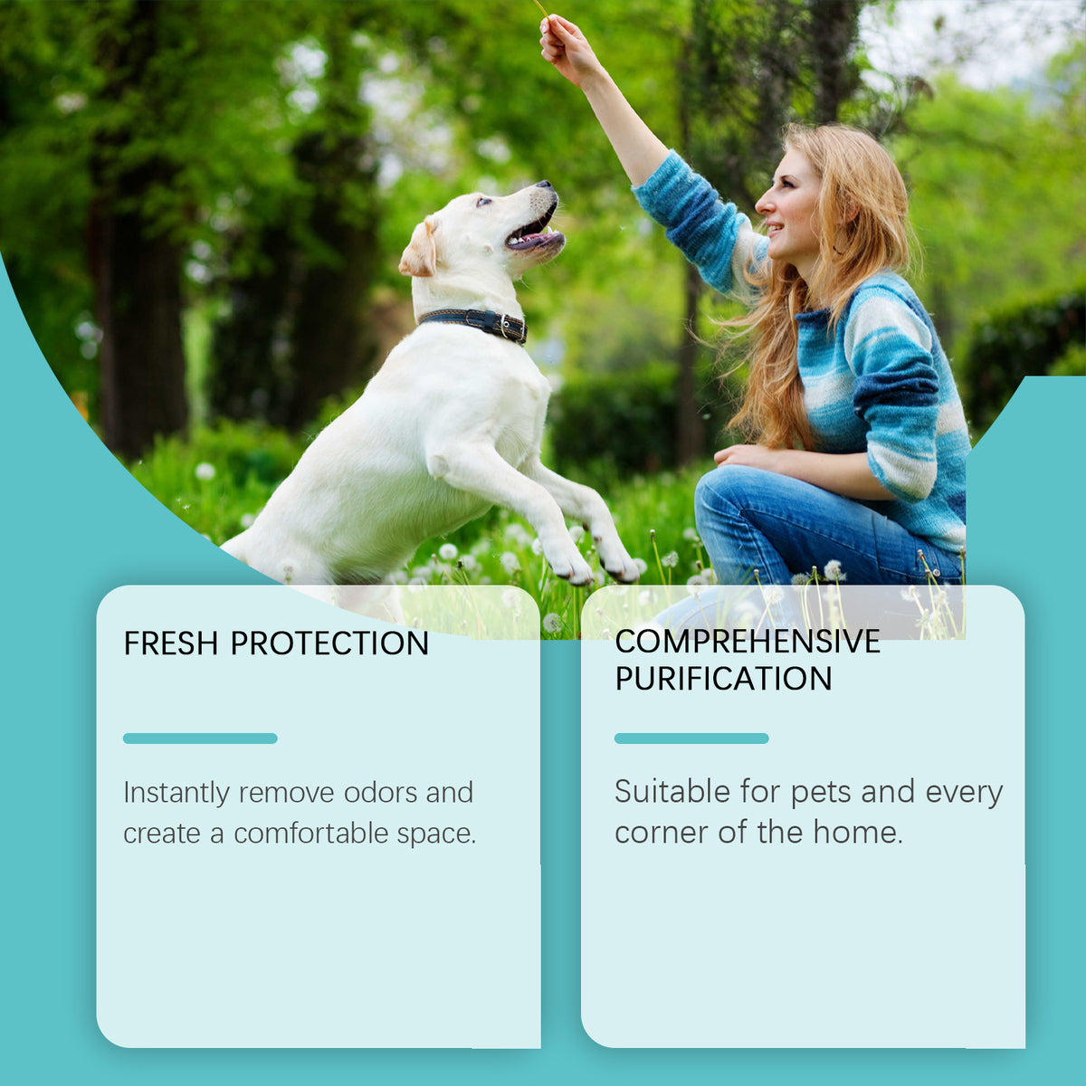 Pet Deodorant Spray – Long-Lasting Odor Control